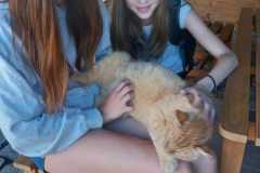 IMG-20260624-WA0019