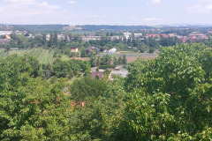 20260622_121555