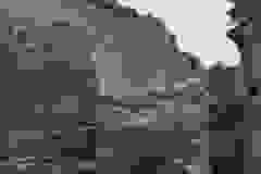 1000036075