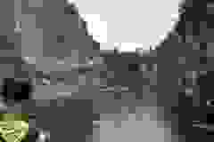 1000036076