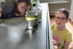 IMG_20260320_142408951_HDR_AE