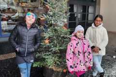 24.11. Zdobení stromečku ve městě