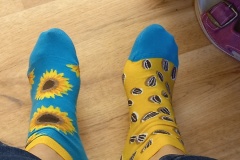 Den bláznivých ponožek
