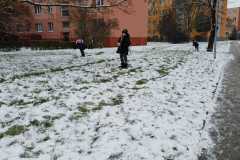 IMG-20251128-WA0016