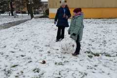 IMG-20251128-WA0019