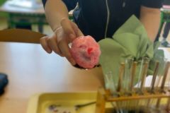 IMG-20250409-WA0005