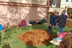 IMG-20251103-WA0002