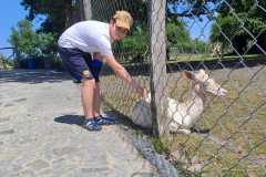 IMG-20250620-WA0011