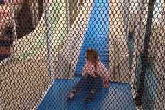 IMG-20251111-WA0008