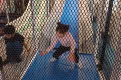 IMG-20251111-WA0009