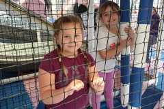 IMG-20251111-WA0014